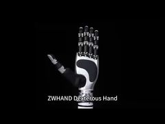 ZWHAND Tangan Robot Humanoid Tangan Robot Cekatan